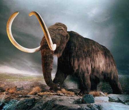 mammoth